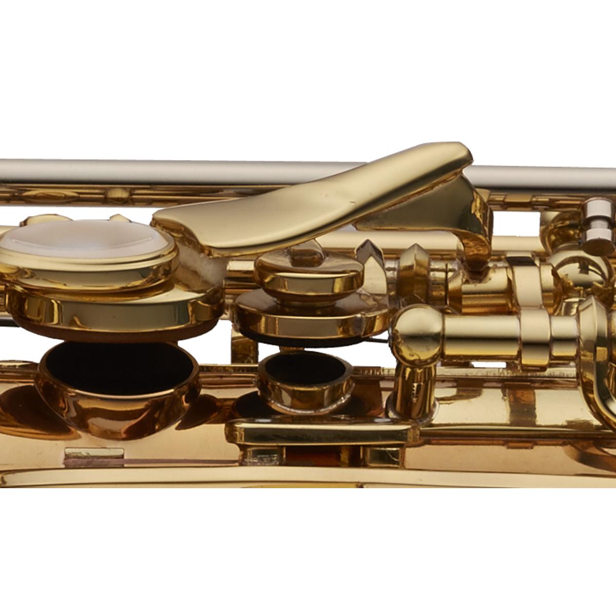 Front F profile profile view